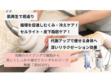 ビューティーマックス エースタジオ(Beauty MAX Astudio)の雰囲気（圧倒的結果重視☆全身痩身エンダモロジーアライアンス！）