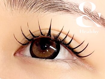 コキーユ(Coquille)/アンドヘルシー（エクパ）