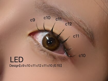 ラベル(LA BEL)の写真