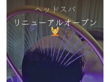 ラックスビューティープラス(LAXX BEAUTY+)