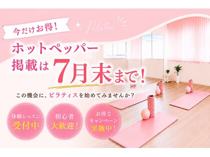 ビライン(Beline)の写真