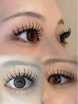 メリス(Mellis)/フラットラッシュ120本