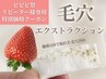【ビビビ祭・リピーター様限定】毛穴エクストラクション90分