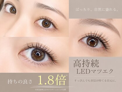 オアシス(Oasis)の写真