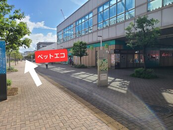 レラ/サロンの道順 4