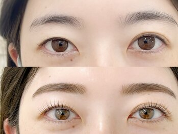 デイリー ラッシュ(DAILY LASH)/ラッシュリフト×アイブロウ