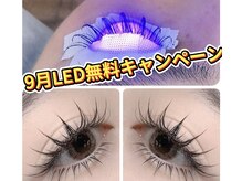 アオイ アイラッシュ 大久保店