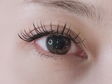 マイルーム(myroom1987)/フラットセーブル100本