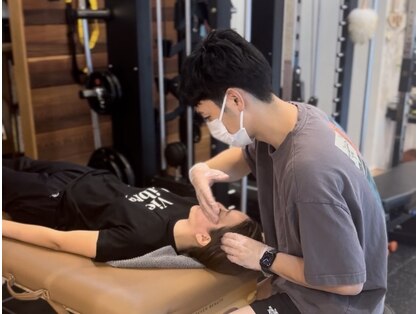 ボフ(Boff)の写真