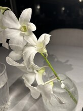 葵川堂 越谷&nbsp;荒木 