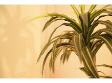 ドリンクサービス