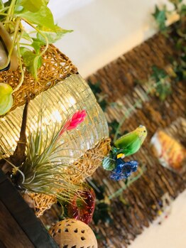 プローズアミカクラブ 高槻店/店内の雰囲気