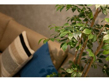 ドクターヘッド(DrHEAD)/