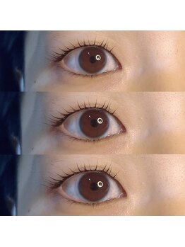 ジョリー(Jolie)/