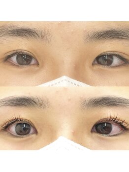 リンク(Link)/ラッシュリフト＋アイブロウWax