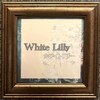 ホワイトリリー(White Lily)のお店ロゴ