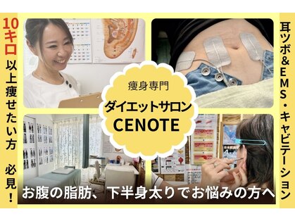 セノーテ(CENOTE)の写真