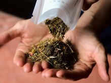 ベスト整体/琉球ハーブ・厳選よもぎの温活