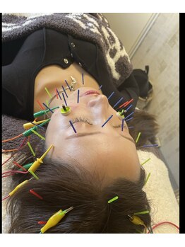 マホロバ(mahoroba)/mahoroba表参道(マホロバ)