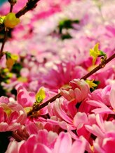 モミ 高崎浜尻店(momi)&nbsp;竹野内 美砂