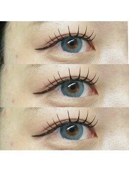 アイラッシュ ベイビーステップ(Eyelash Baby step)/フラットラッシュ100本