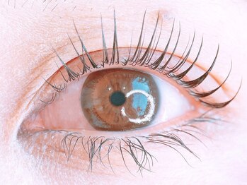 アイ ビューティー インクリース 岸和田店(Eye beauty increase)の写真/あなたの魅力を引き出す、ナチュラルな上品さを持つまつげエクステ体験を♪似合わせまつげパーマも◎