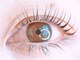 アイ ビューティー インクリース 岸和田店(Eye beauty increase)の写真/あなたの魅力を引き出す、ナチュラルな上品さを持つまつげエクステ体験を♪似合わせまつげパーマも◎