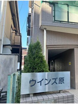 フローレ 平針店(Flore)/マンション外観