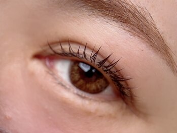 ティーアール(TR)/カラーエク(別料金取ってません)