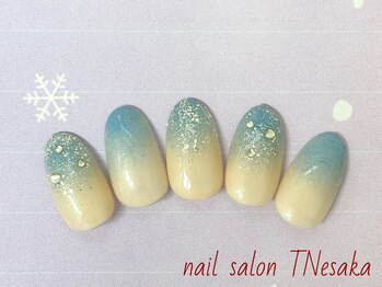 ティーエヌ 江坂店/季節の定額6600コース〔江坂〕