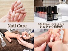 てとて ウェルネスラボ 行徳(てとて Wellness Lab)