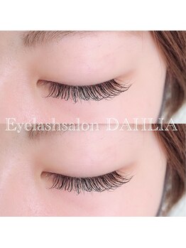 ダリア(DAHLIA)/フラットラッシュ