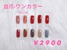 ≪お試し≫自爪★冬色ワンカラー 10種 ¥2,900