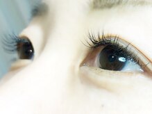 ニジュウバンチ クダマツ(20Banchi Kudamatsu)/セーブル100本