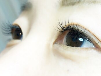 ニジュウバンチ クダマツ(20Banchi Kudamatsu)/セーブル100本