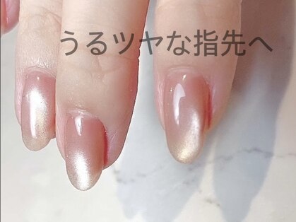 レヴィア(Revia)の写真