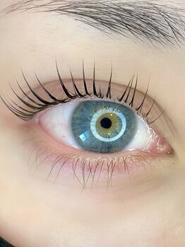 ミヤビ 勝どき(MIYABI)の写真/イベントの多い夏にまつパ・マツエク始めましょう♪話題沸騰中の&healthyや汗に強いLEDエクステもご用意◎