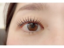 ペルシャ(Persian)/お客様デザイン(担当/長島)