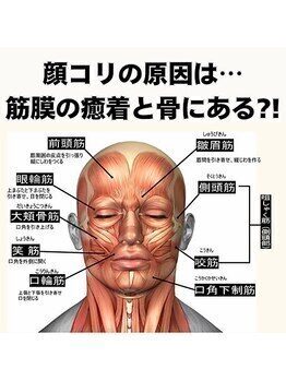 顔ジム 麻布十番店/筋膜！筋肉！骨！で小顔効果実感