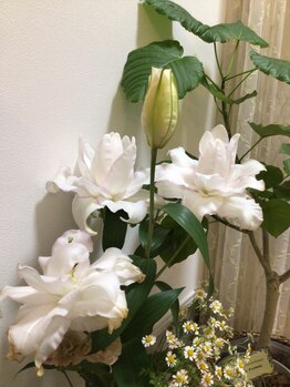 ゆう/素敵な百合の花