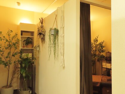 サロンクローバー(salon CLOVER)の写真