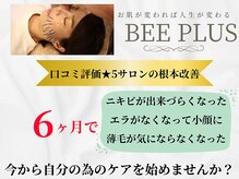 ビープラス(BEE PLUS)