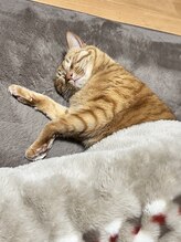 オフィスピースリー/社長正月から寝る