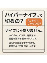 フィエルテ 甲斐敷島(FIERTE)/ハイパーナイフって切るの？