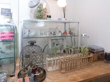 雑貨屋さんの様な室内 …観葉植物もたくさん飾ってます♪