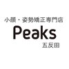 ピークス(Peaks)のお店ロゴ
