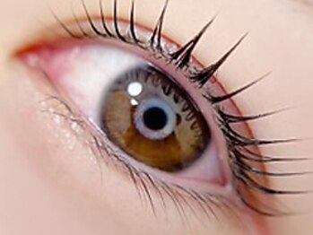 シックドゥホンジョウ(CHIC de Honjo)の写真/お好みに合わせて目元のデザインを提案いたします♪軽い付け心地で自まつ毛への負担が少ないのが魅力★