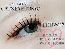 キャッツアイ東京 新宿店(Cat's eye TOKYO)