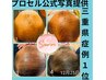 三重施術数No1！頭皮診断士が髪の悩みを解決/サプリ不要/