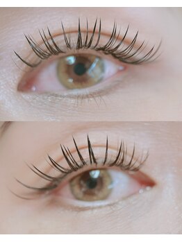 ポロカ(POLOKA)/バインドロック 120束